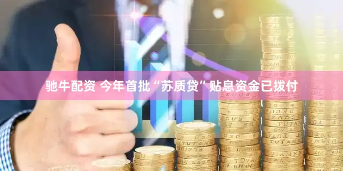 驰牛配资 今年首批“苏质贷”贴息资金已拨付