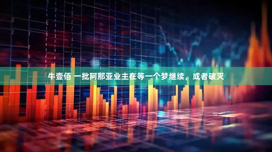 牛壹佰 一批阿那亚业主在等一个梦继续，或者破灭